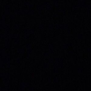 Meet your Posher, Maddie